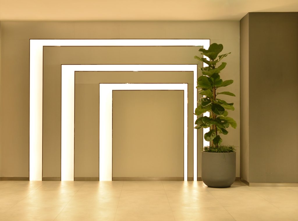 Empty room with tree pot and lights, interior design