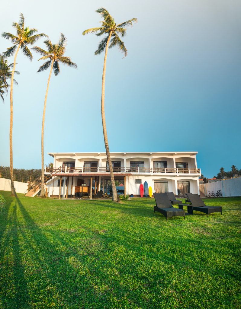 Biophilic Bliss: Designing Homes with Nature in Mind