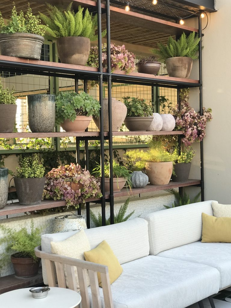 Potted plants in shelves
