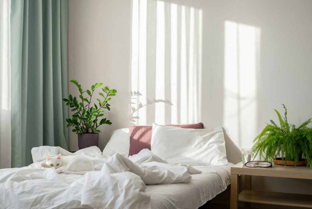 White cat resting on the bed. Bedroom interior in a Scandinavian minimalist stylewith plants.